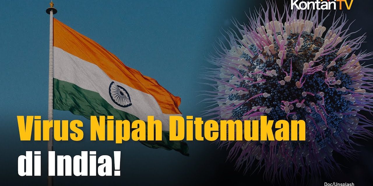 Kasus Meninggal Virus Nipah Di Bangladesh Di Laporkan WHO