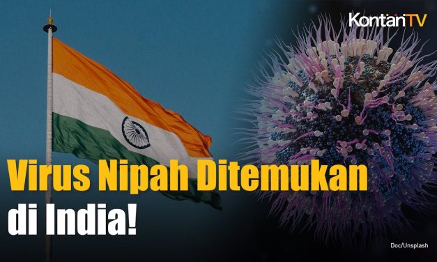 Kasus Meninggal Virus Nipah Di Bangladesh Di Laporkan WHO