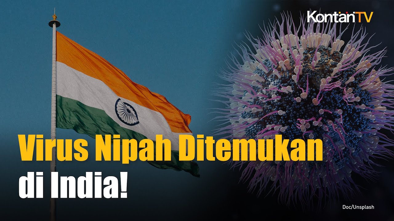 Kasus Meninggal Virus Nipah