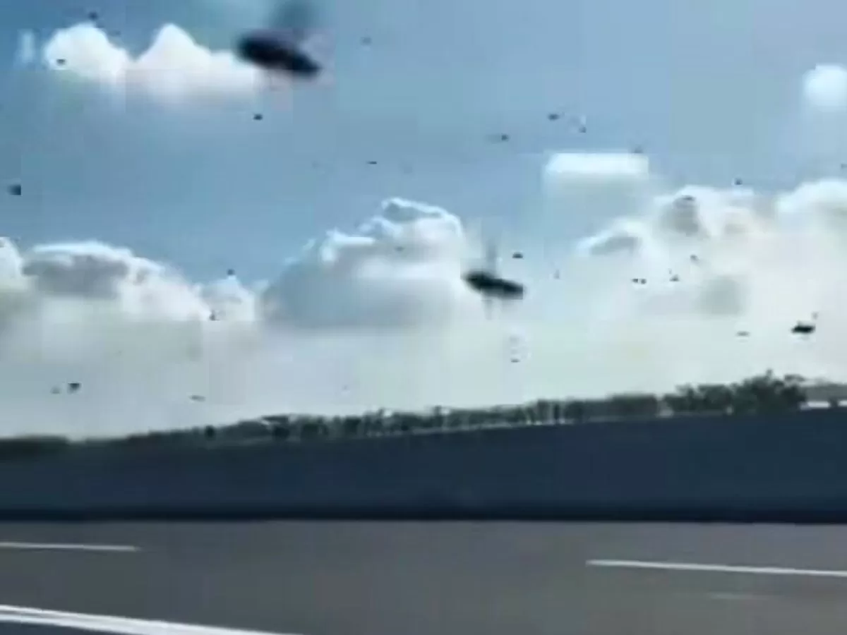 Kawanan Lebah Lintasi Tol