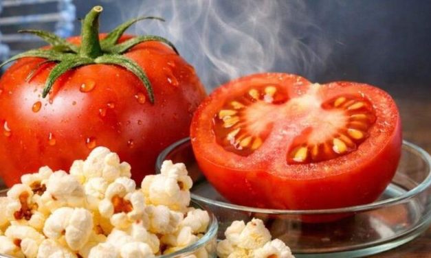 Inovasi Tomat Rasa Popcorn Temuan Dari Ilmuwan China