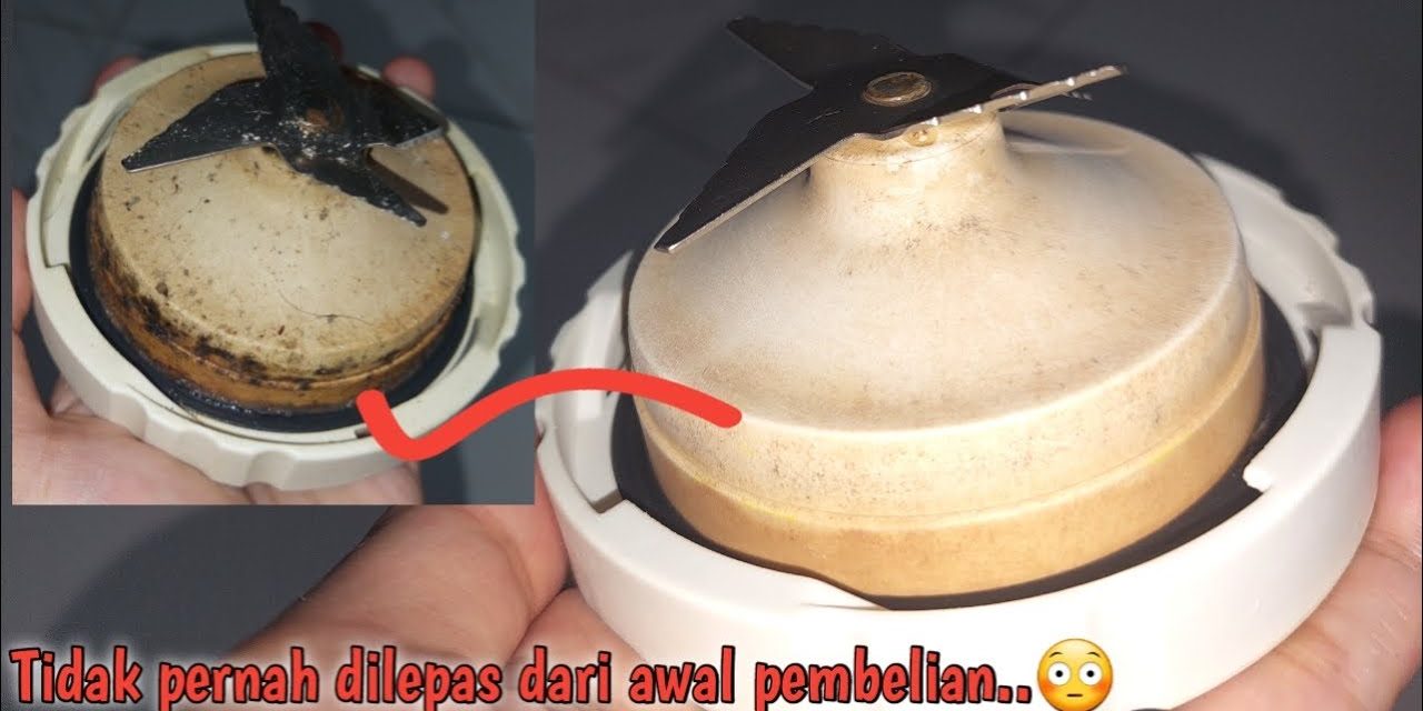 Tips Unik: Cara Membersihkan Blender Dengan Cangkang Telur