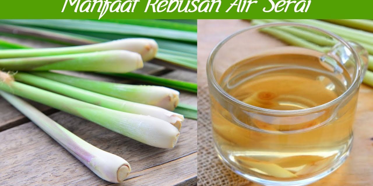 Menggali Manfaat Tersembunyi Dari Air Rebusan Serai