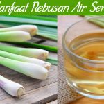 Menggali Manfaat Tersembunyi Dari Air Rebusan Serai