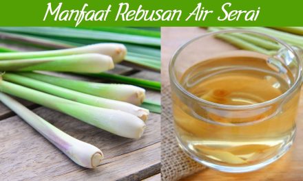 Menggali Manfaat Tersembunyi Dari Air Rebusan Serai