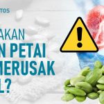 Makan Petai Dengan Bijak: Hindari Risiko Kerusakan Ginjal